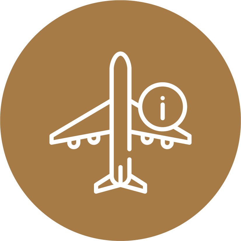 Flight Info